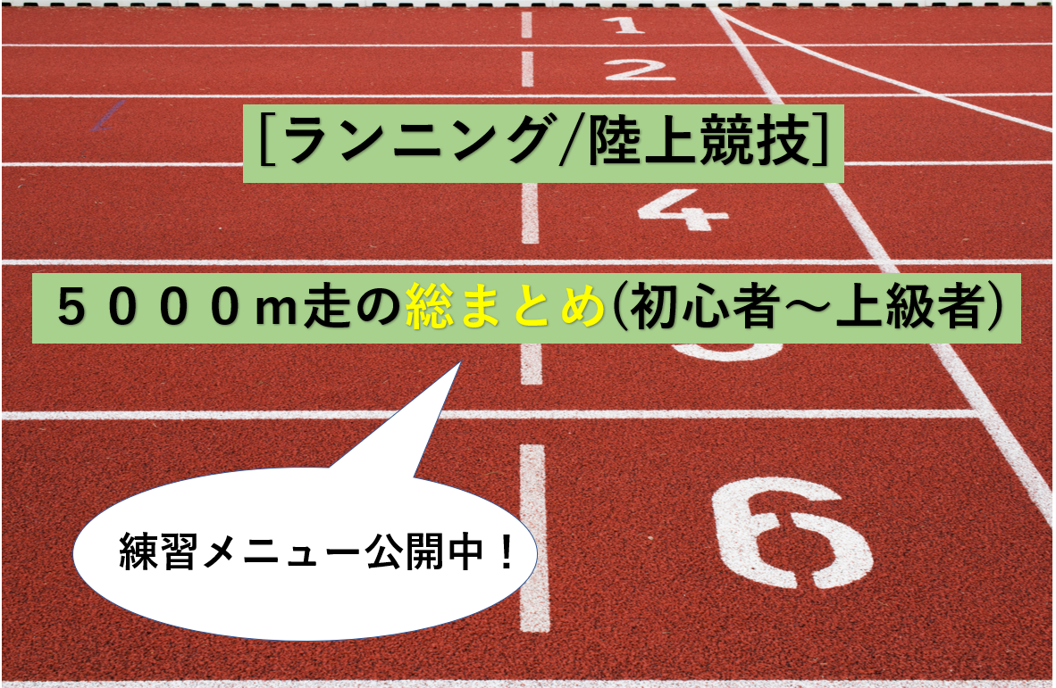 欠乏 然とした 潤滑する 初心者 ランニング メニュー 手当 野心的 追記